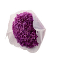 PRESERVED ORTASIA PURPLE Deventor