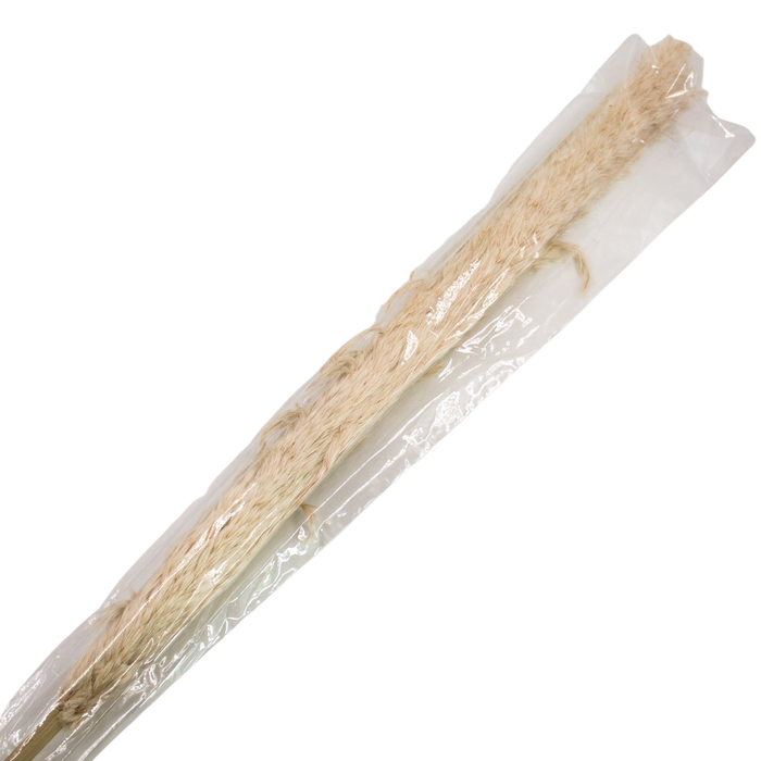 PRESERVED PLANT 150cm Deventor
