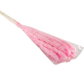 PRESERVED PLANT PINK Deventor