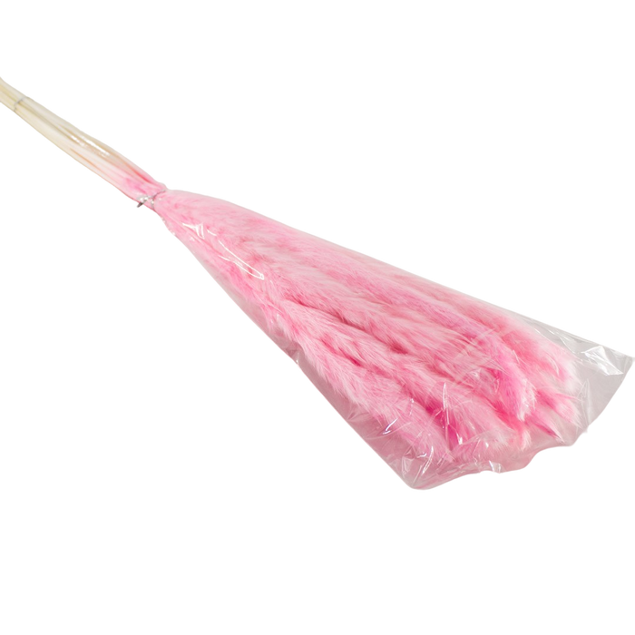 PRESERVED PLANT PINK Deventor