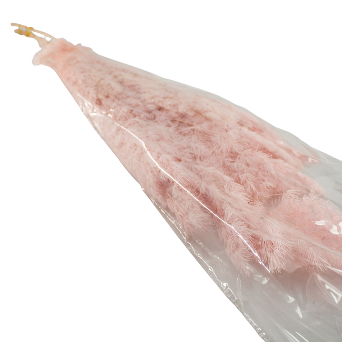 PRESERVED PLANT PINK Deventor