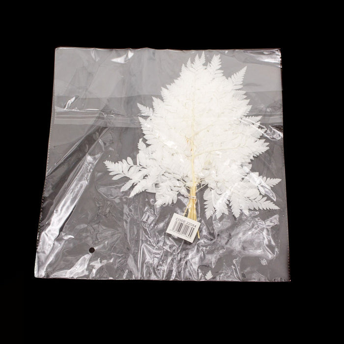PRESERVED PLANT WHITE Deventor