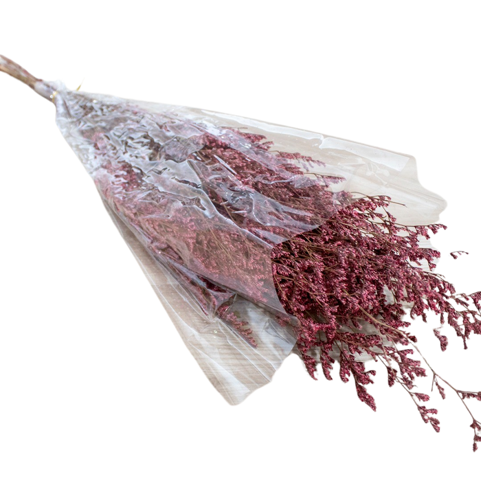 PRESERVED PLANT Deventor