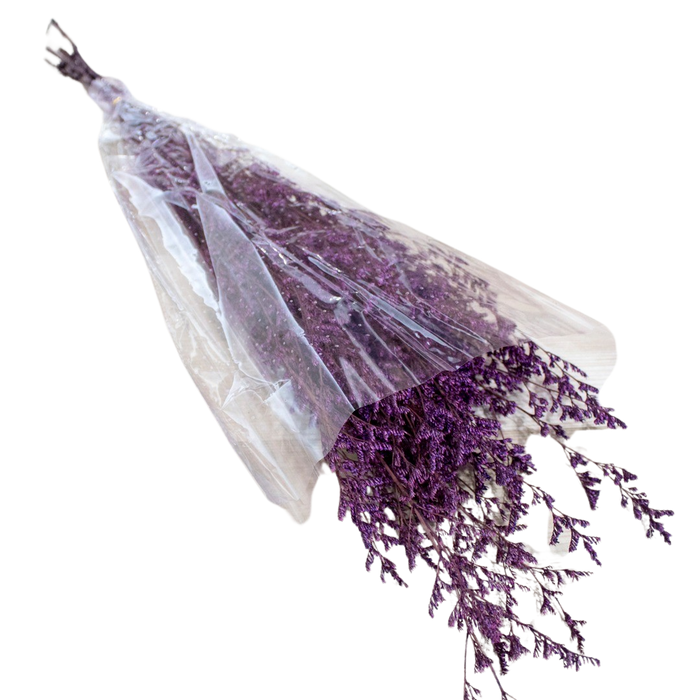 PRESERVED PLANT Deventor