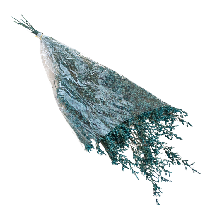PRESERVED PLANT Deventor