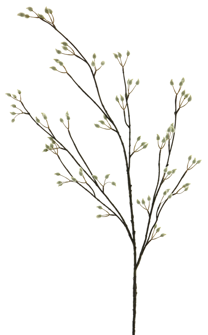 PUSSY WILLOW SPRAY CREAM 120CM Deventor