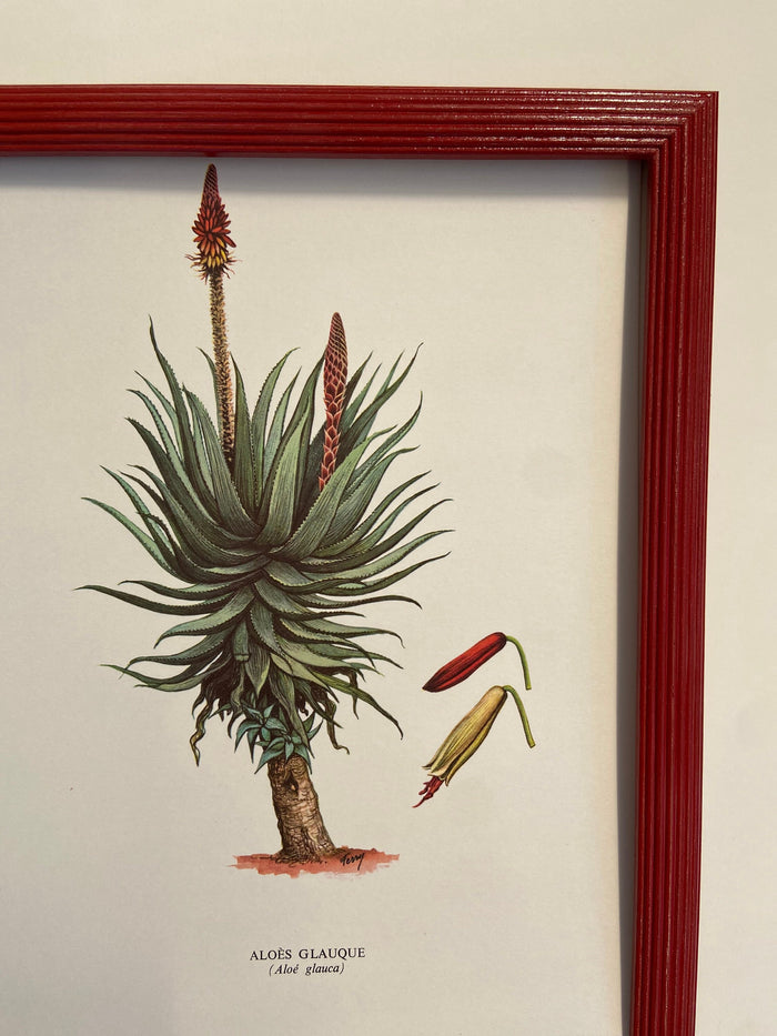 Reeded curved hand painted picture frames bespoke made to order any colour any size