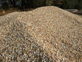 River Rock #5 Bulk