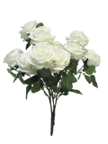 ROSA DIJON BUSH X10 WHT 42CM Deventor