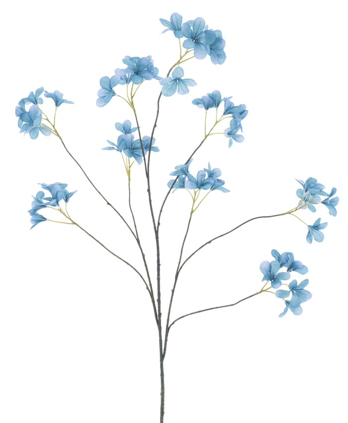 SAXIFRAGA BRANCH BLUE 130M Deventor