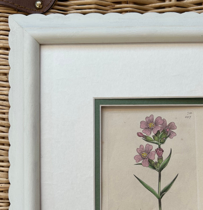 Scallop shaped hand painted wooden larger version 35mm picture frames bespoke made to order. Any colour available