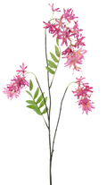 SPRING FLOWER BEAUTY 103CM Deventor