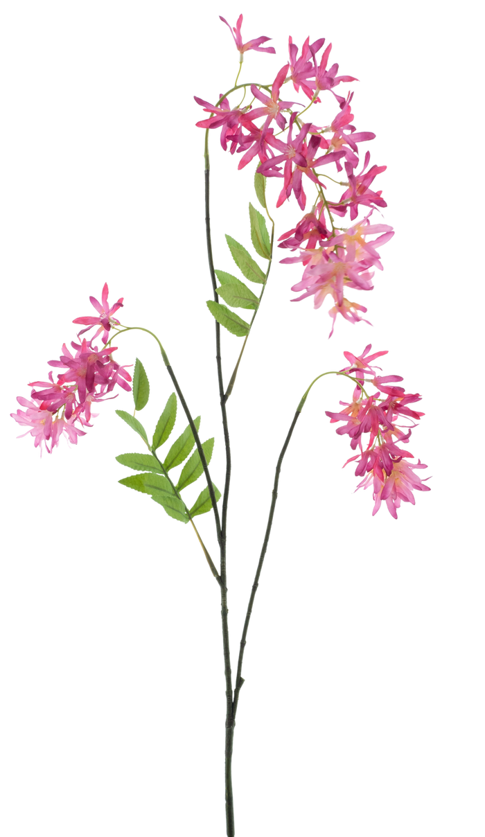 SPRING FLOWER BEAUTY 103CM Deventor