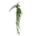 STAGHORN FERN HANGER GREEN 104CM Deventor
