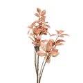 STAR LEAF MIRJA L/PINK 123CM Deventor