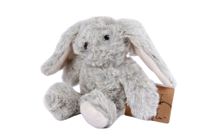 TAKE ME HOME RABBIT 19CM Deventor