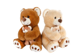 TAKE ME PLUSH BEAR GRAY 24CM Deventor