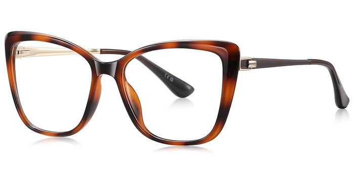 Tegucigalpa Eyewear
