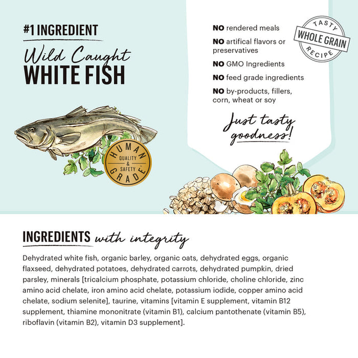 The Honest Kitchen Dehydrated Whole Grain Fish & Oat Recipe Dog Food