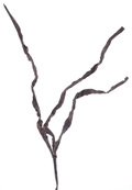 TREE DARK SPRAY DARK 104CM Deventor