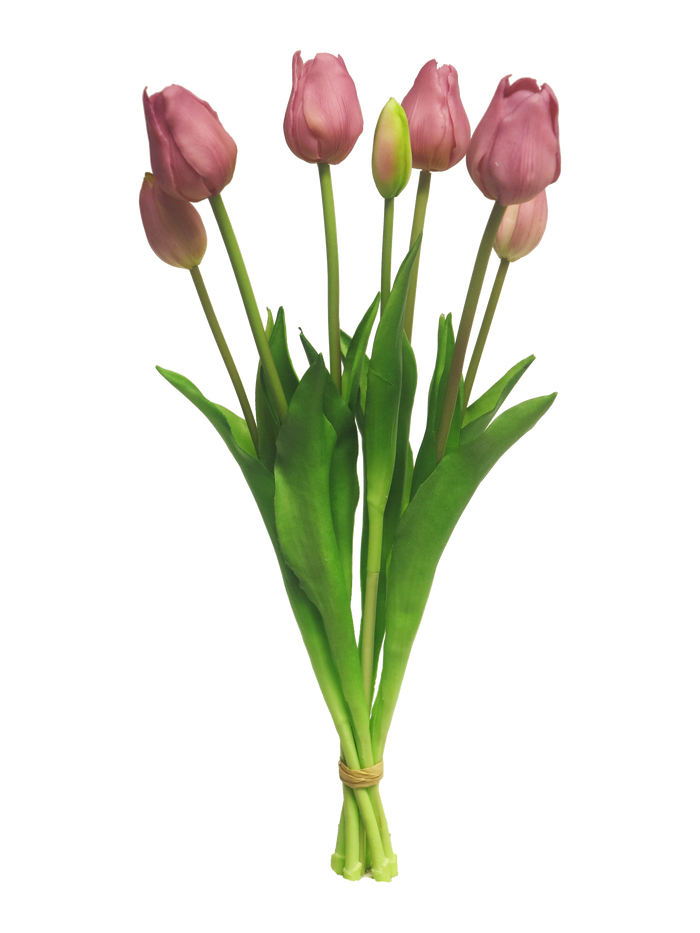 TULIP BUNDLE X7 MAUVE 47CM Deventor