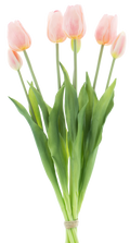 TULIP BUNDLE X7 PINK 47CM Deventor