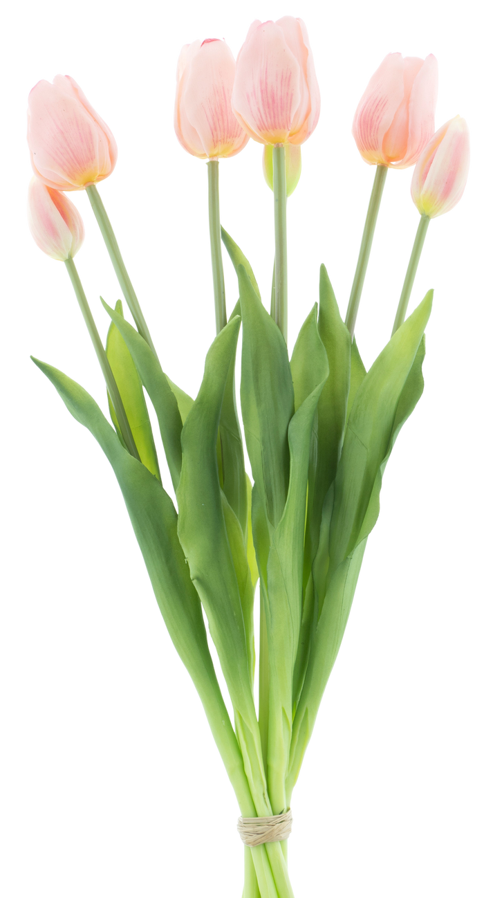 TULIP BUNDLE X7 PINK 47CM Deventor