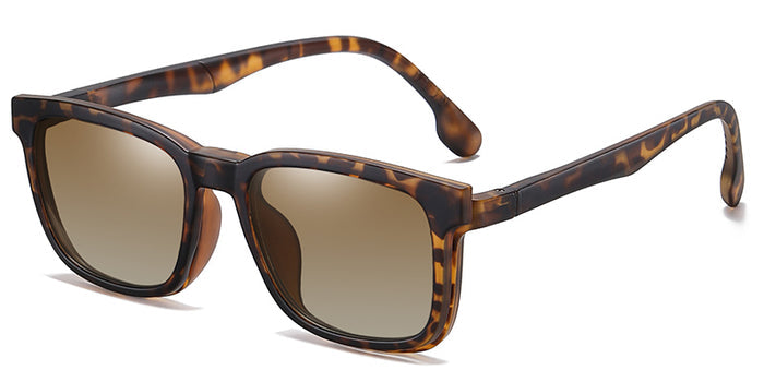 tortoiseshell