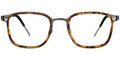 Velvet Forest Field Eyewear