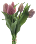 VERMEER TULIP MAUVE/PINK 31CM Deventor