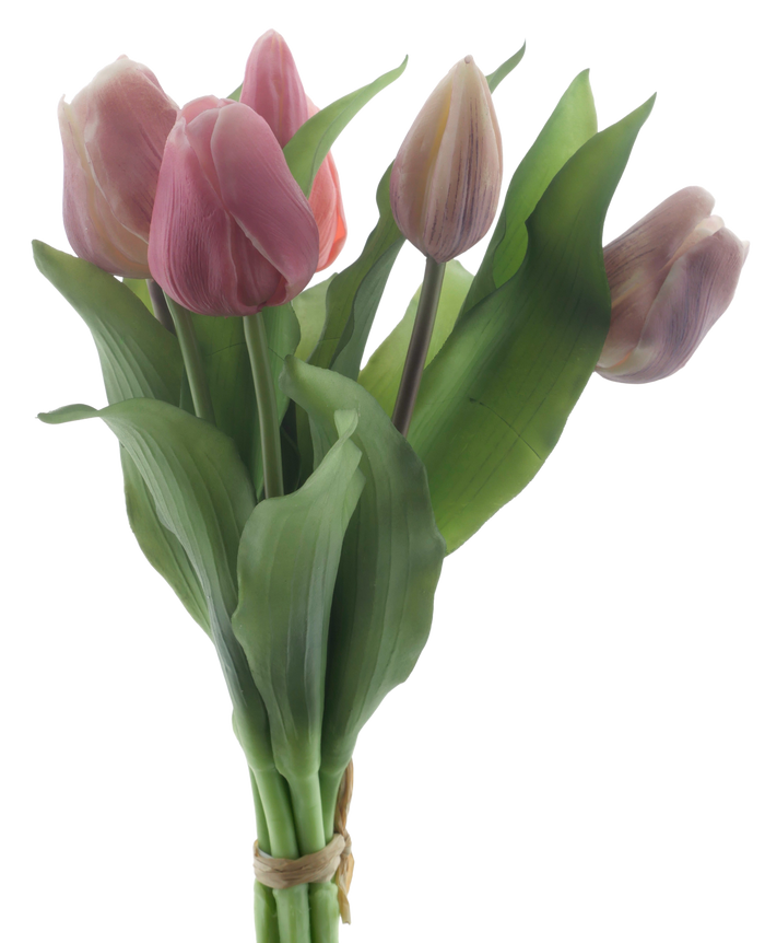 VERMEER TULIP MAUVE/PINK 31CM Deventor