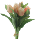 VERMEER TULIP ORANGE/PEACH 31CM Deventor