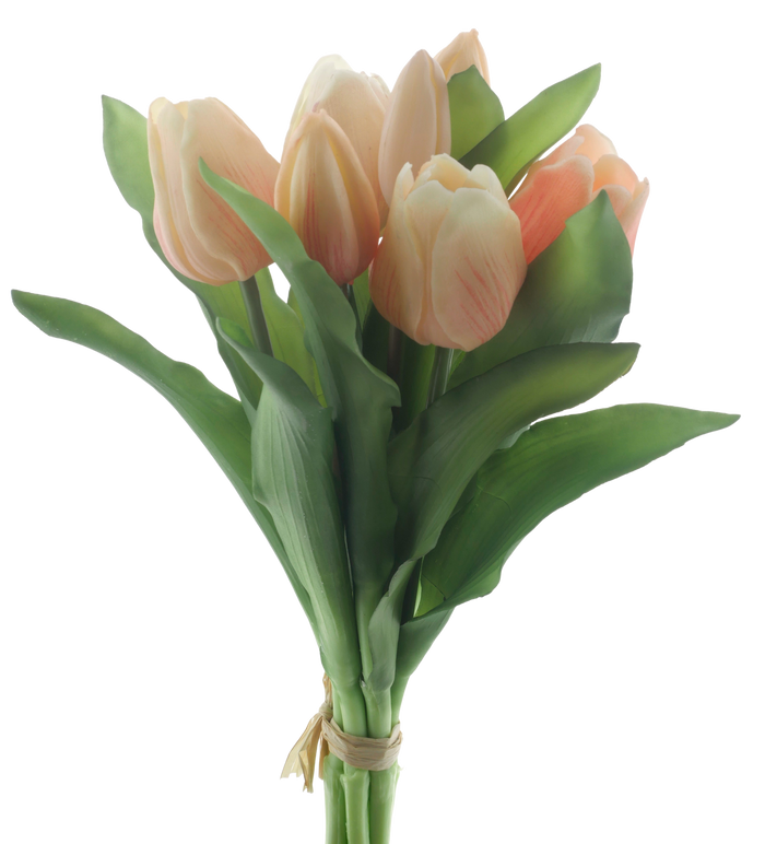 VERMEER TULIP ORANGE/PEACH 31CM Deventor