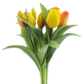 VERMEER TULIP PINK 31CM Deventor