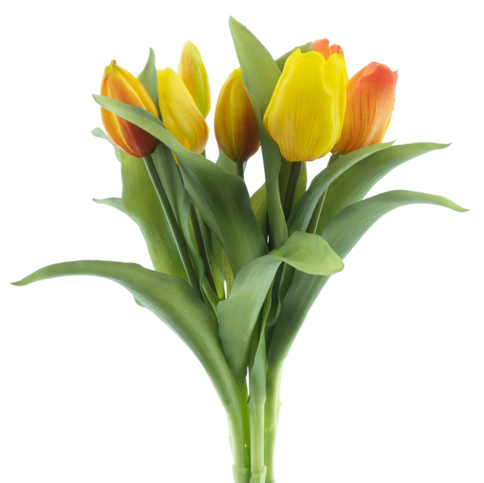 VERMEER TULIP PINK 31CM Deventor