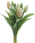 VERMEER TULIP YELLOW/WHITE 31CM Deventor