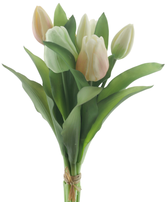 VERMEER TULIP YELLOW/WHITE 31CM Deventor