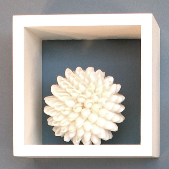 Wall Cube Shelf 15x15x10cm