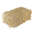 Wheat Straw Bale
