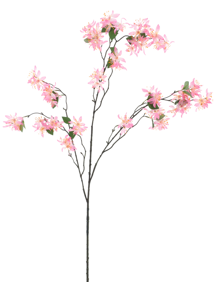 WILD CLEMATIS FUCHSIA 123CM Deventor
