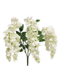 WISTERIA VAIANA CREAM 77CM Deventor