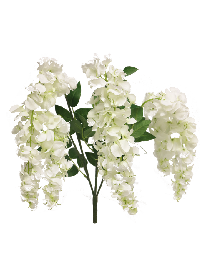 WISTERIA VAIANA CREAM 77CM Deventor