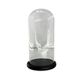 WOODEN BASE WITH GLASS 12X25CM Deventor