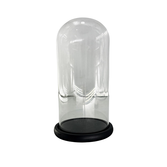 WOODEN BASE WITH GLASS 12X25CM Deventor