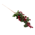 X-MAS BERRY Deventor