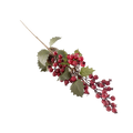 X-MAS BERRY Deventor